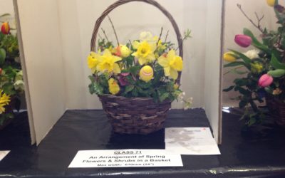 The Horti’ Spring Show in Sarratt on Saturday