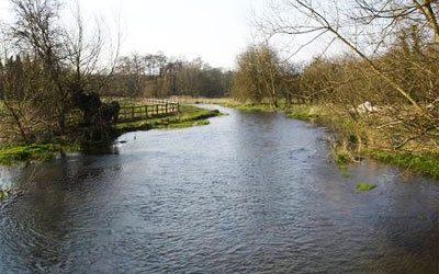 The River Chess needs more people to be involved.