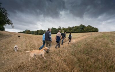 Did you know about the Sarratt Walkers??