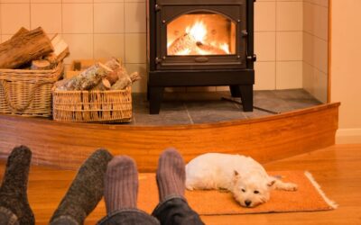 ARE WOOD BURNERS ECO FRIENDLY?