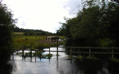 Sustainable Sarratt and the River Chess update from Alan