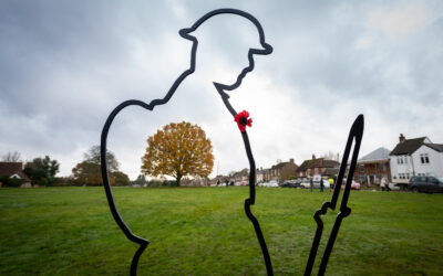 Armistice Day 2020, Remembering them …