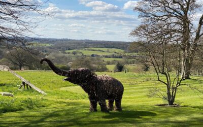 April Open Garden in Sarratt – This coming Sunday 24th