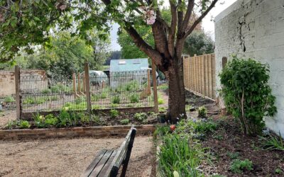 Open morning at the new community garden